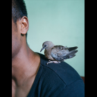 千賀 健史 / Kenji CHIGA