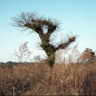 冨永 晋 / Shin TOMINAGA