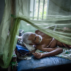 齊藤 小弥太 / Koyata SAITO