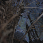 坂東 正沙子 / Masako BANDO